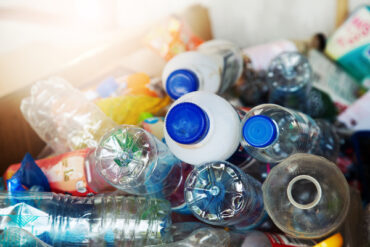 Nouveau-Brunswick : projet de révision du programme de recyclage des contenants de boissons
