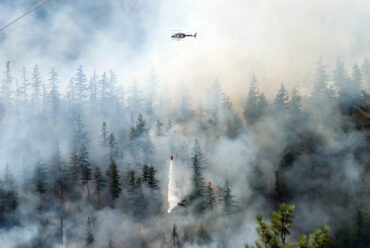 Québec : aide financière offerte aux détaillants touchés par les feux de forêt